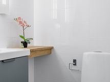 Eteisen erillinen wc