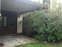 Etupiha kesällä