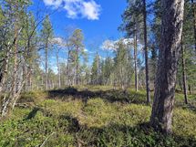 Mahdollista mökin paikkaa