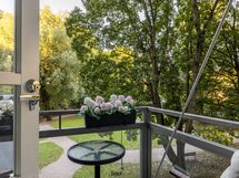 Koko huoneistosta esteetön näkymä Tauno Palon puistoon