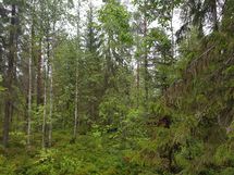 Kuhmo, Iivantiira, Saarensalmentie 