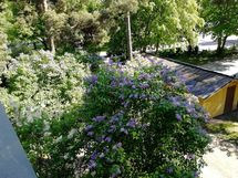 Myyjän ottama kesäkuva