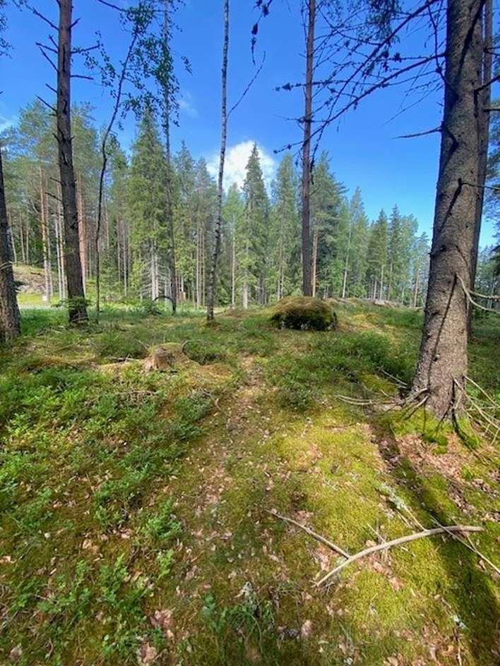 Tontti, 1 114 m², Kallenmäki - Näkymä 4