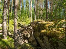 Heinävesi, Jänisvesi, Palokki