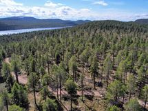 Näkymät Konesjärven ja Otsamon suuntaan