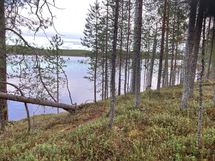 Kortteli 3, tontti 3