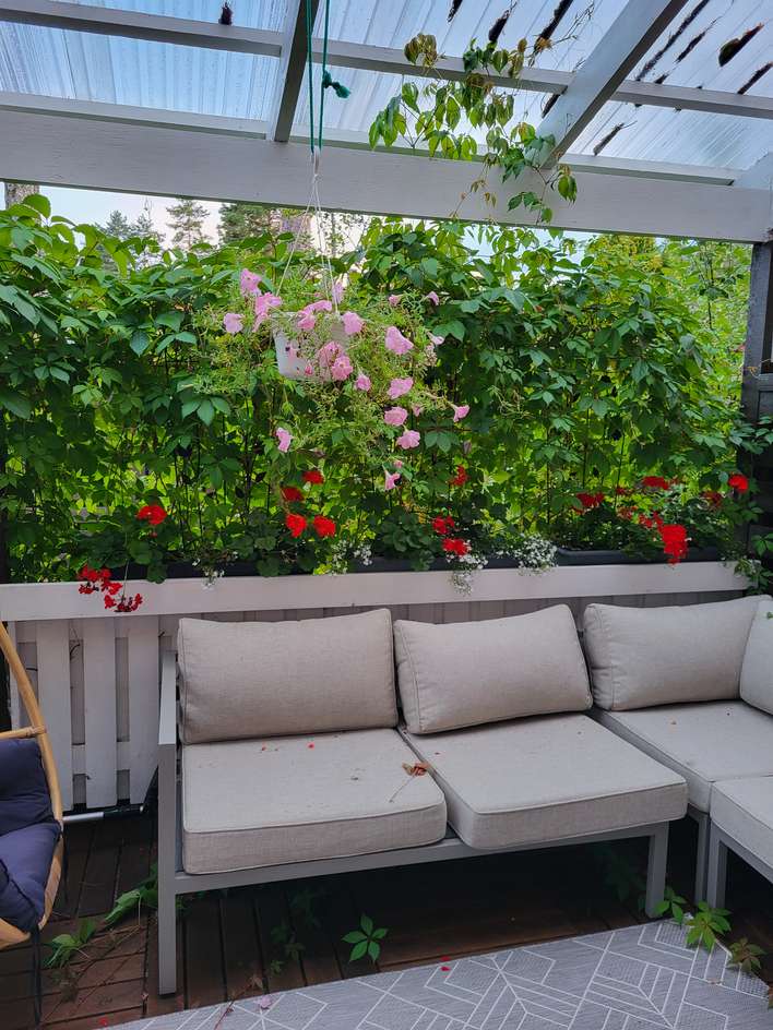 Rivitalo, 4h + s, 97 m², Tikkakoski - Näkymä 3