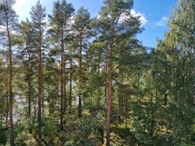 Näkymä parvekkeelta