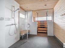 Taloyhtiön saunatalon kylpyhuonetta ja sauna