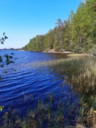 Kohdekuva
