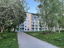 Keväällä viereinen omenapuutarha puhkeaa loistoonsa