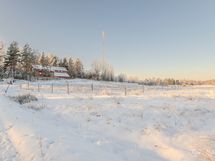 Tarjat ja laidun