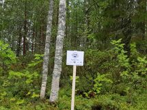 Kuhmo, Iso-Rommakkojärvi, Lautakankaantie