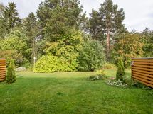 Takapiha rajoittuu puisto metsään