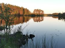 Savijärvi