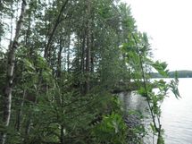 Tila Vehkaniemi RN:o 2:104
