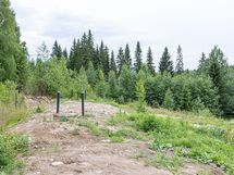 Imeytyskenttä