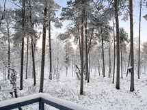 Metsäisiä maisemia terassilta