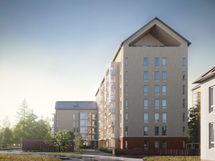 Visualisointikuvassa taitelijan näkemys kohteesta