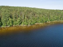 Mäntyharju, Rautjärvi