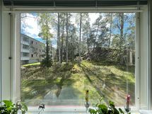 Näkymä piha-alueelle keittiön ikkunasta