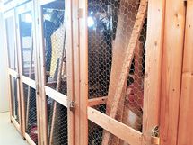 Huoneiston häkkikomero