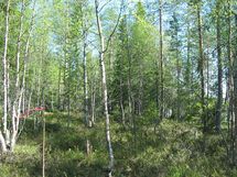 Kuhmo, Iivantiira, Petäjälahti-Kortelahti