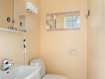 Erillinen wc eteisaulan yhteydessä.