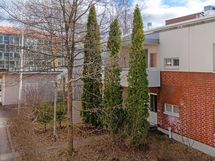 Hiljainen ja suojaisa takapiha