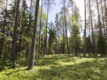 Hyrynsalmi, Hyrynjärven länsiosa