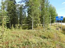 Sodankylä, Luosto
