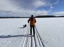 5,5 km järvilatu kulkee mökin vierestä (arkistokuva 2025 keväältä)
