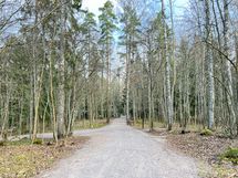 Upeat ulkoilumaastot ovat lähettyvillä, kuvassa Vihertien asukaspuisto,