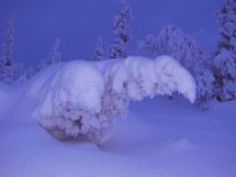 Pudasjärvi, Syöte, Pytkynharju