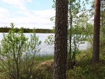 Saarijärvi, Isojärvi