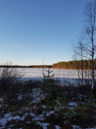 Kohdekuva