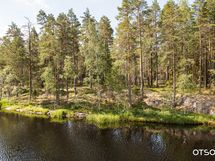 Tässä rantaviivan paras rakennuspaikka