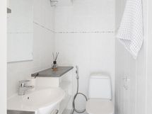 Alakerran erillinen wc.