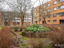 Taloyhtiön puistomaisella piha-alueella on myös levähdyspaikkoja varttuneemmille.