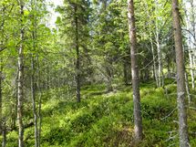 Rovaniemi-Karjalanjärvi