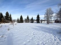 Myyjän kuva