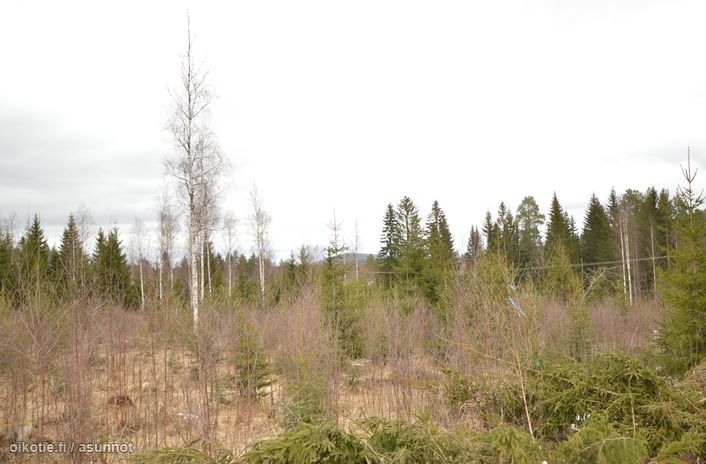 Asuntoilmoituksen kuva