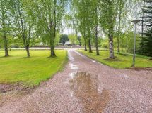 Koivukujaa kotiin, tervetuloa!