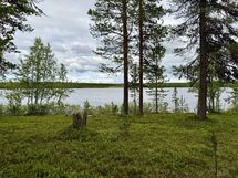 Ranta
