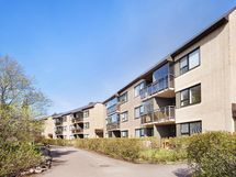 julkisivu metsän puolelta