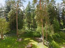 Näkymä ikkunasta kesällä