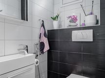 Erillinen wc