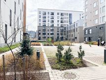 Sisäpihaa.