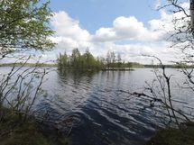 Parkano, Liesijärvi