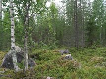 Sonkajärvi, Raudanvesi